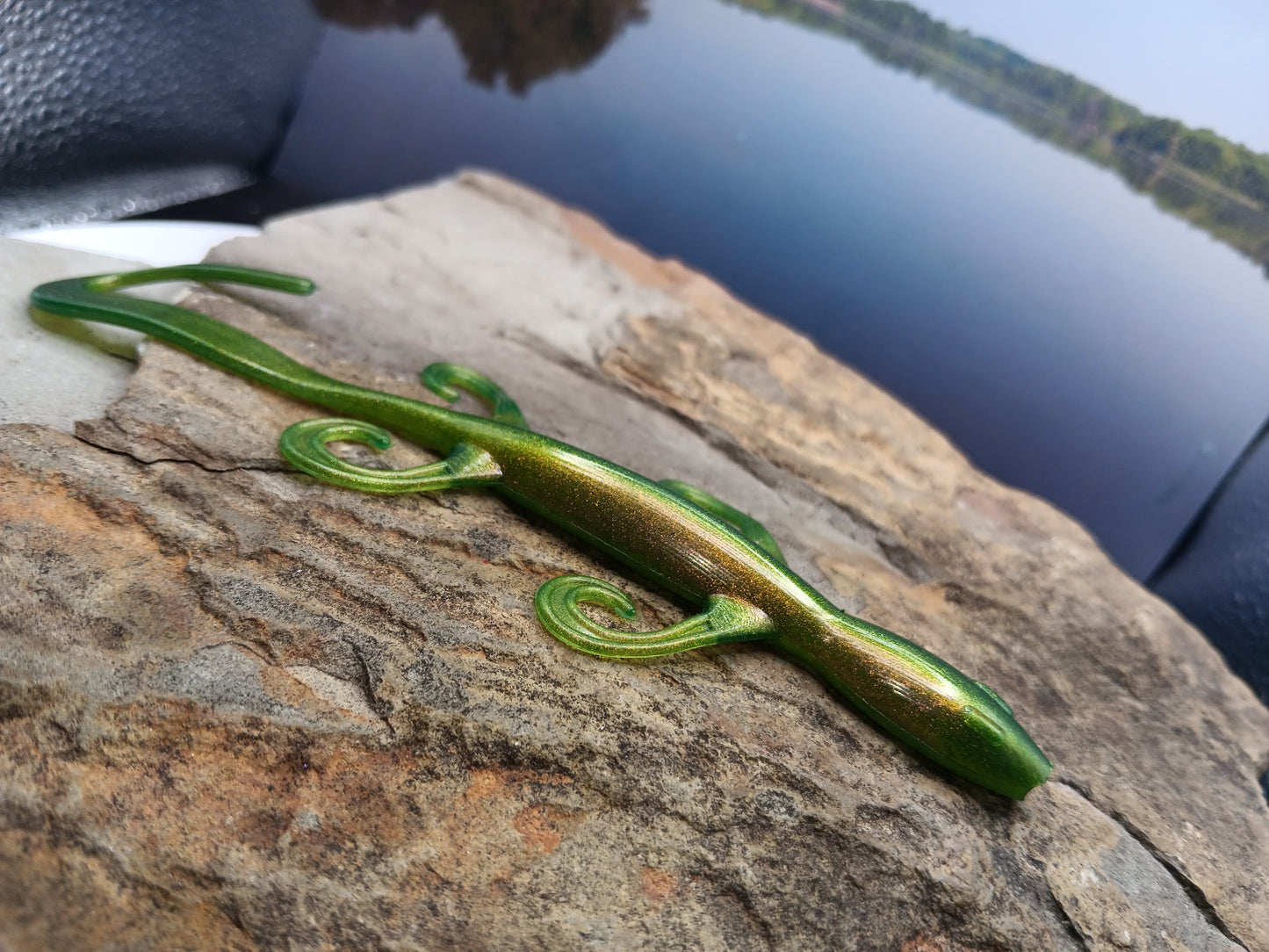 Lizard