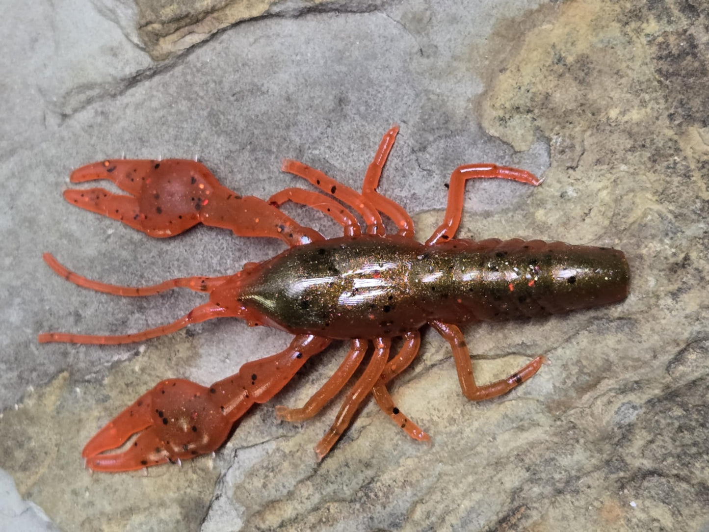 Ned Craw