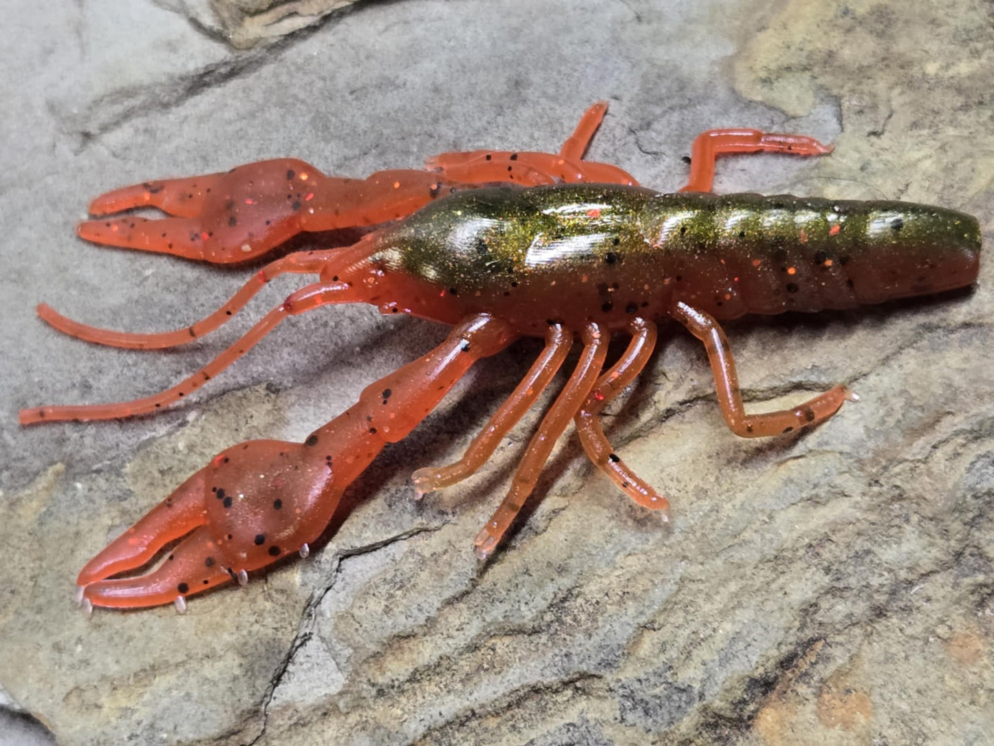 Ned Craw