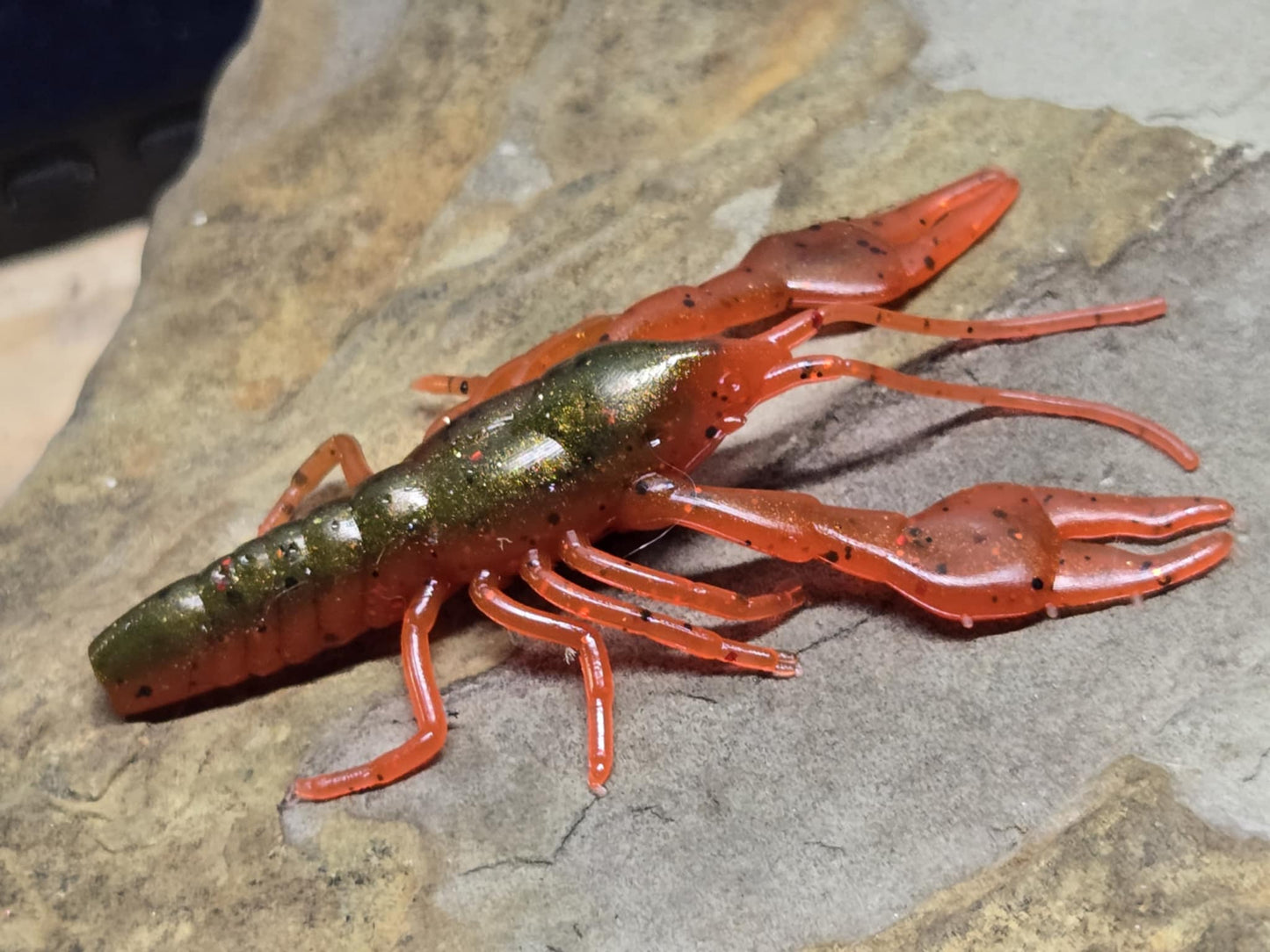 Ned Craw