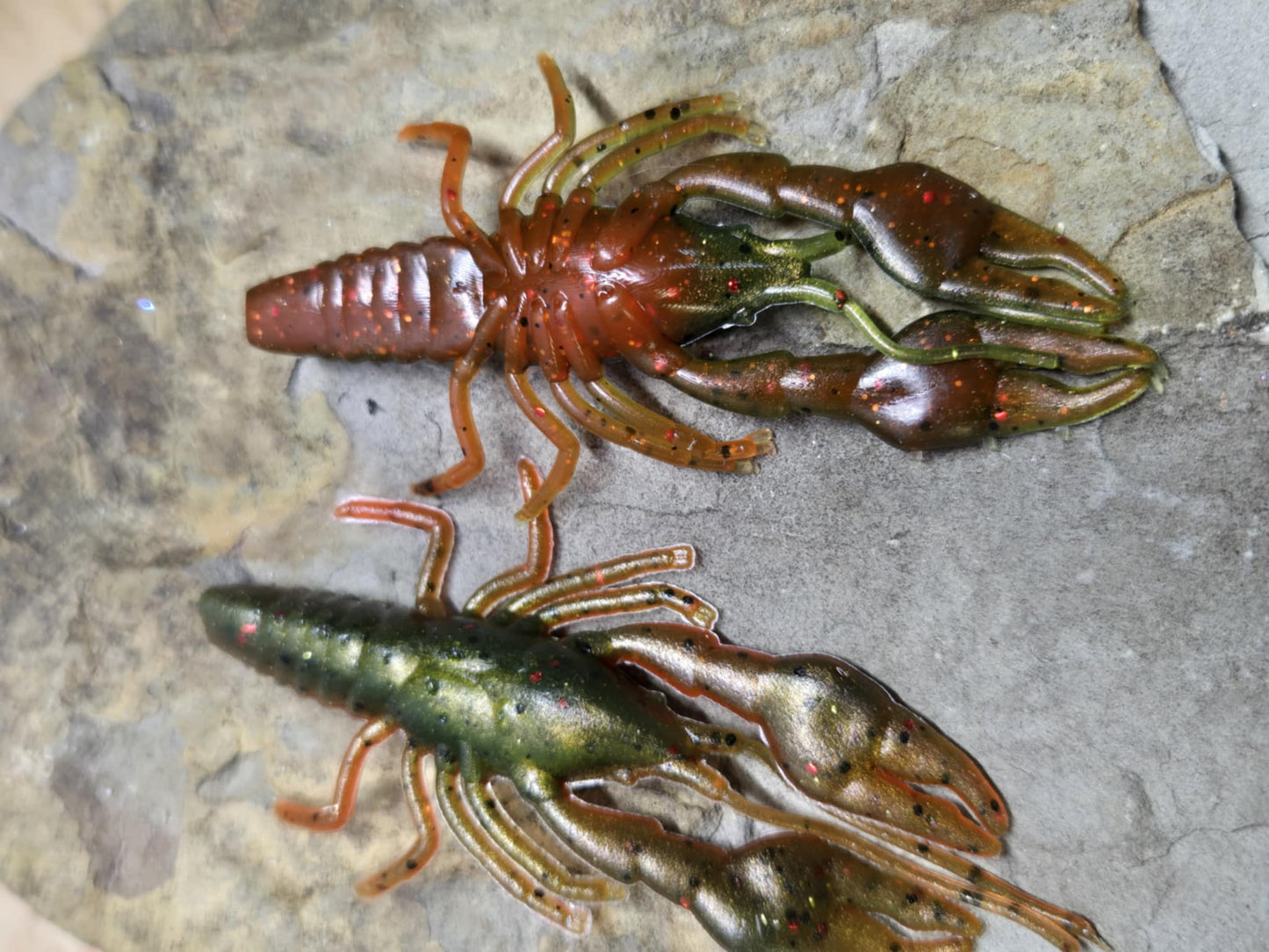 Ned Craw