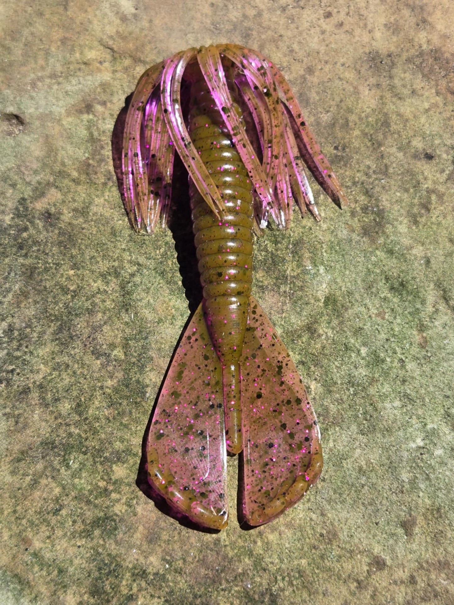 Skirted Phantom Grub