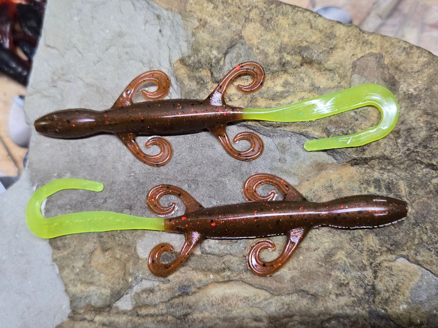 6" Lizard