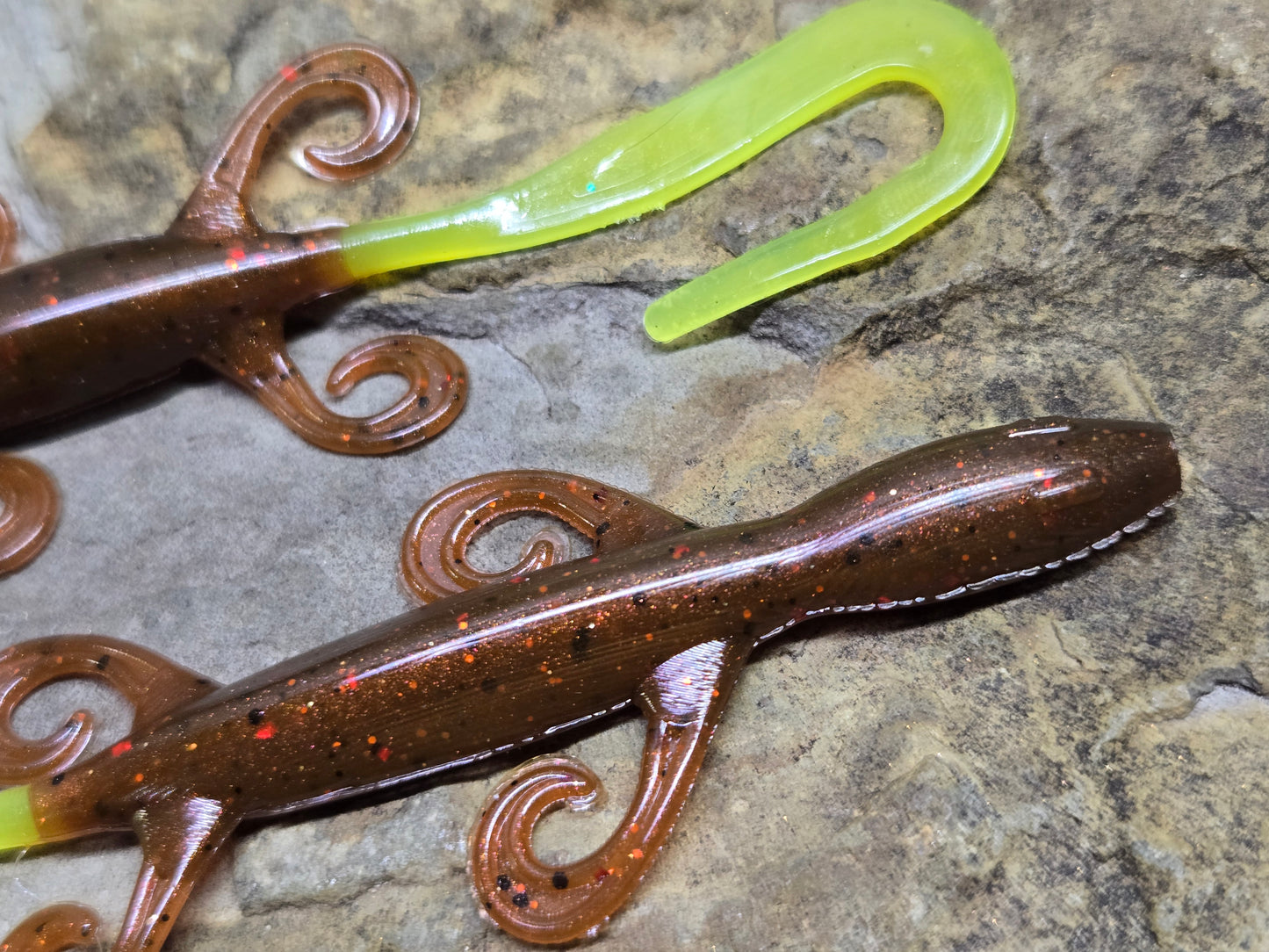 6" Lizard