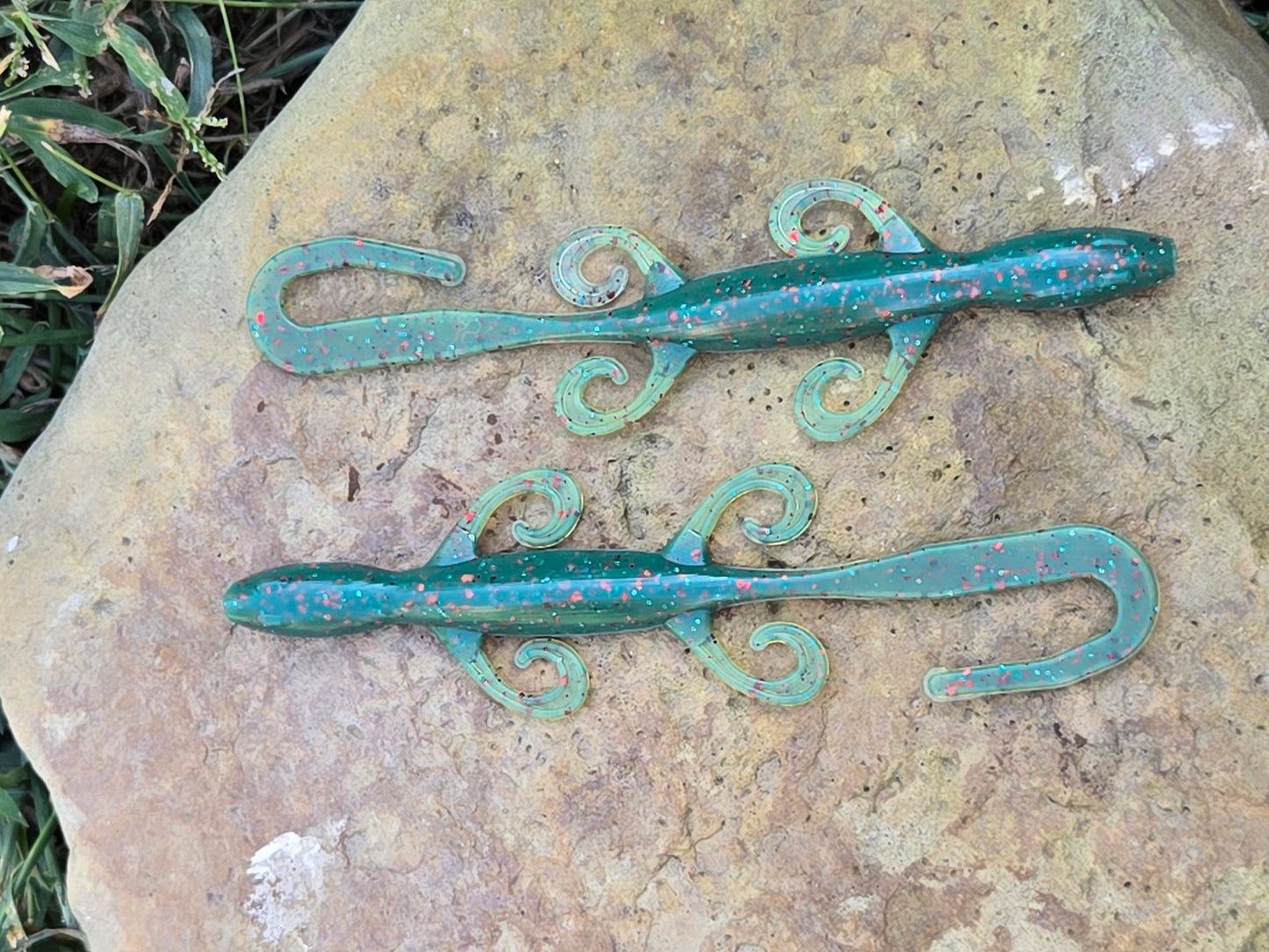 6" Lizard