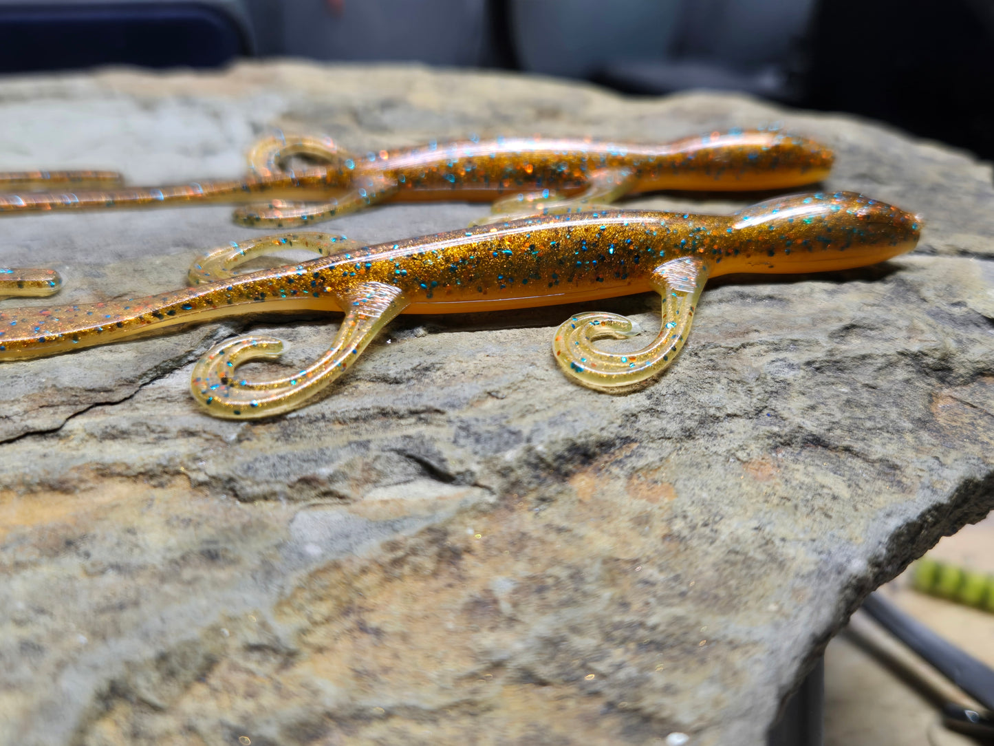 6" Lizard